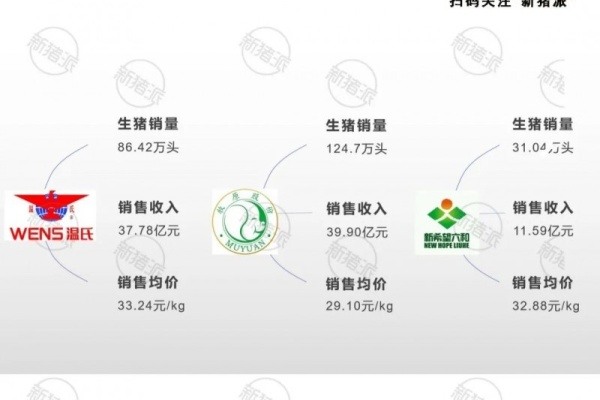 猪价跌破15元大关，仔猪却涨破50元/斤：警惕这场猪价陷阱