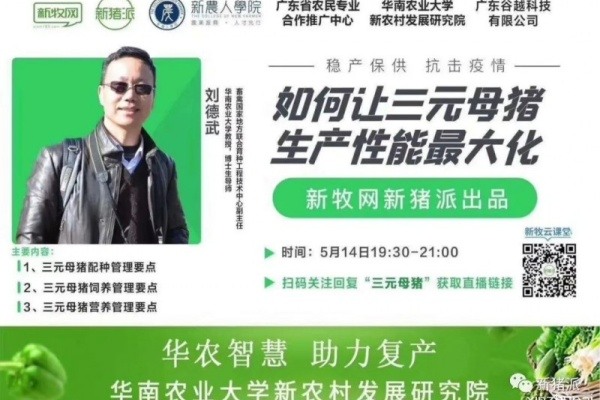 猪价突然暴涨，有猪才是王道！如何将三元母猪生产性能最大化