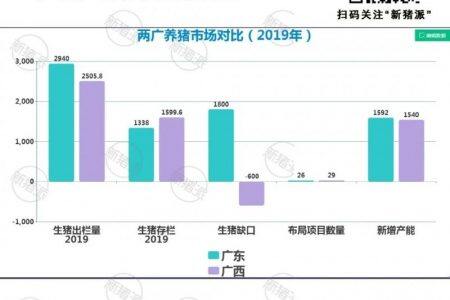 缺口1800萬頭！牧原、新希望六和、廣墾廣東組團養豬，打什么小算盤？