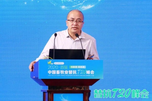 品质支撑品牌，百年伊势只为成就一枚好鸡蛋