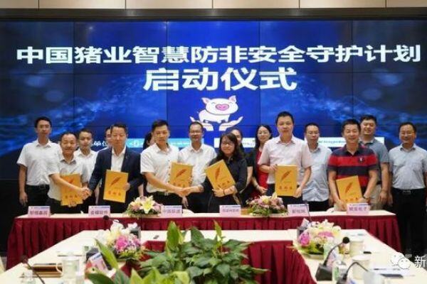 重磅！这6家单位联手，AI养殖或将彻底颠覆传统养猪业？