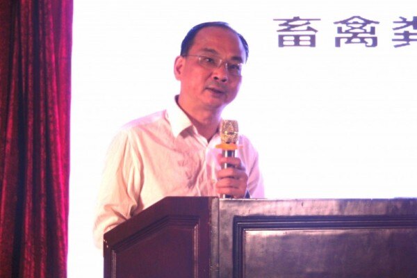 涨幅超5成，益生苗价重回2元时代！圣农深加工板块发展迅猛！