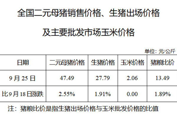 生猪数据：
        全国二元母猪销售价格、生猪出场价格及主要批发市场玉米价格（2019年9月25日）