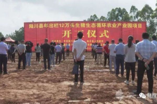 放心吃肉！陆川生猪产能大力恢复中，一批新建的生猪项目落地