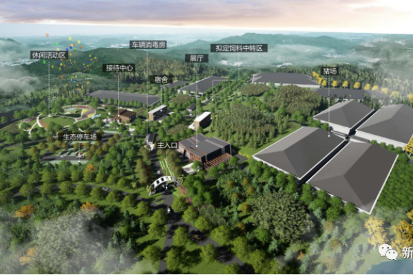 国鸡侣行丨鸿光农牧：致力于优质鸡的育种与推广！