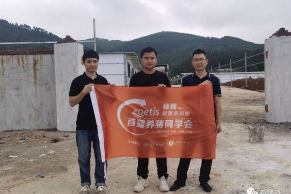 非瘟下猪场“理想国”：3000头母猪场削山而建，三面环山|硕腾特约新猪派探旅