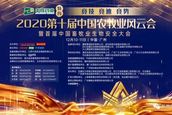 冀中药业邵谱：“祛外邪，扶正气”！降低猪群非瘟发病风险