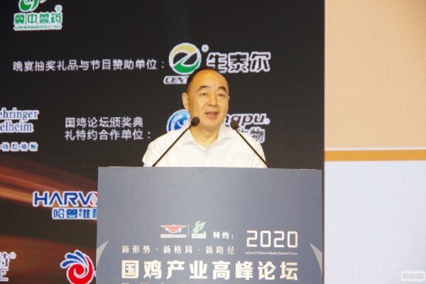 秦开田：行业转型升级迫在眉睫，国鸡发展应该打好组合拳