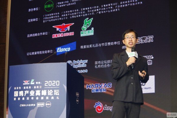 苏皖中：50亿只国鸡产量，未来2年行情不会很好