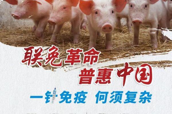 省时省力省钱！降本增效，凭普莱柯联合免疫就能实现