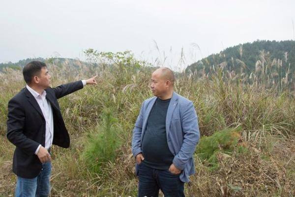 百万头生猪项目落户贵定，凭什么？