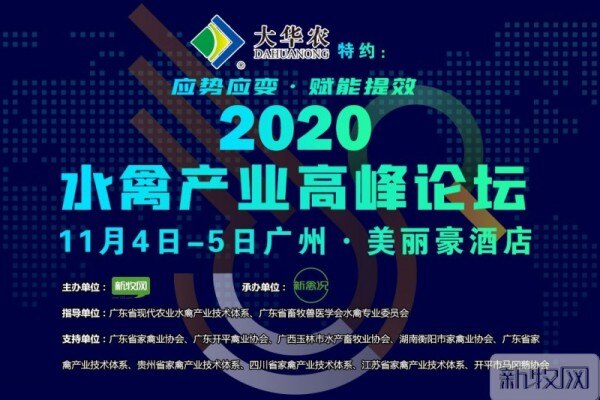 刁有祥：三大因素可引起雏鹅痛风病，防治关键是管理