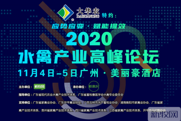 胡胜强：回顾我国肉鸭产业现代化发展之路，肉鸭产业如何做大做强？