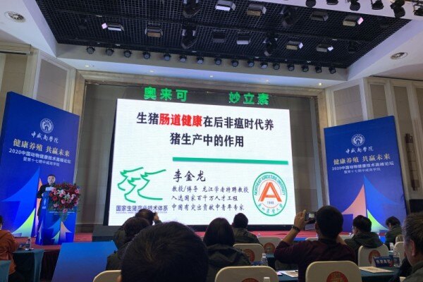 李金龙：后非瘟时代，肠道健康是养猪业提质增效的关键措施