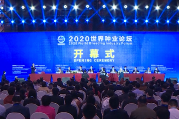 孙好勤副司长在2020世界种业论坛开幕式上的重要讲话