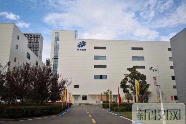 吴玉石：更精准的种猪场防控理念，种猪场防疫还需注意这几个地方！