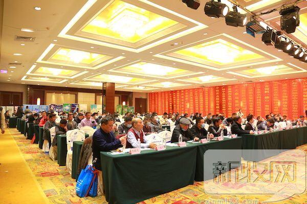 已达年度目标110%！清远生猪复产形势良好，生猪存栏153万头