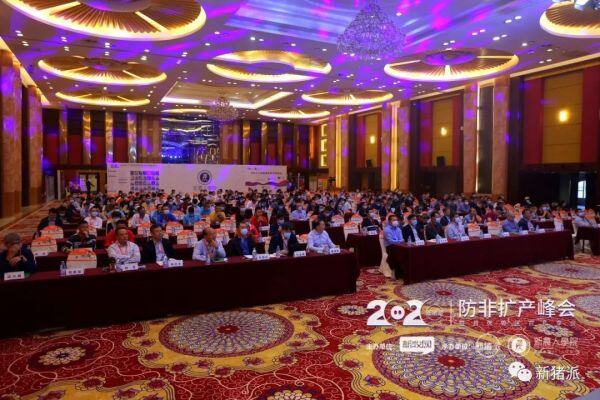 超500猪业精英聚焦防非、扩产！新猪派2020防非扩产峰会盛大开幕