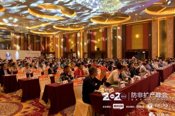 7大种猪企业齐发声：未来猪价走低，想活下来必须淘汰三元母猪【2020防非扩产峰会】