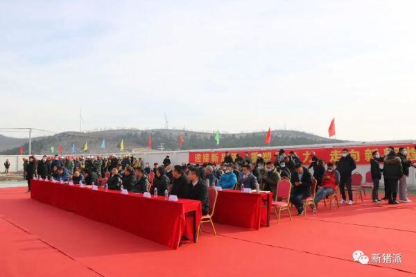 和时间赛跑！温氏2000头母猪原种猪场78天建成交付，南牧承建