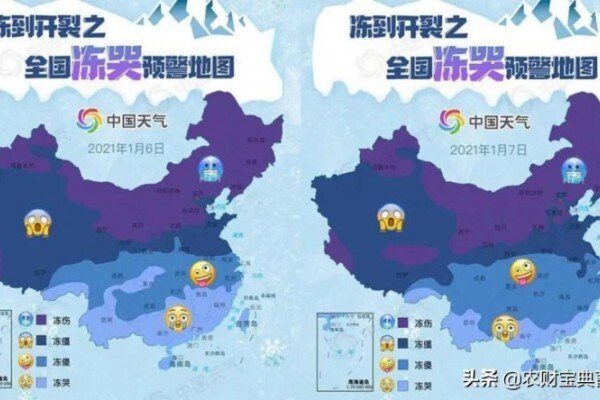 同时提供加系、法系种猪的楼房猪场来了！