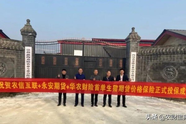 农信互联联合永安期货和华农财险首单生猪“保险+期货”项目顺利启动