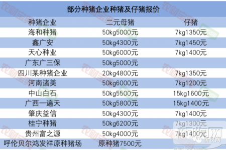 二元母猪最高6200元/头，仔猪1600元！