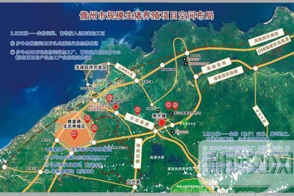 罗牛山：儋州乐满20万头生猪养殖基地正式投产