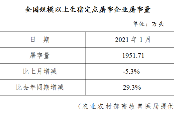 生猪数据：
        全国规模以上生猪定点屠宰企业屠宰量（2021年1月）