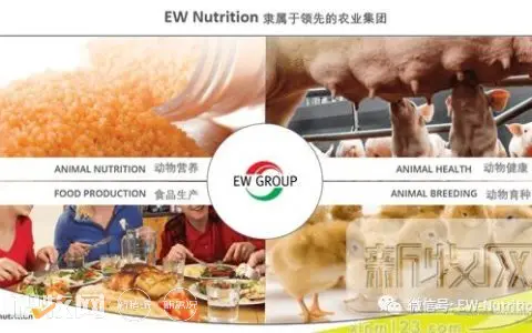重磅：EW Nutrition收购Novus(诺伟司)饲料质量和色素业务