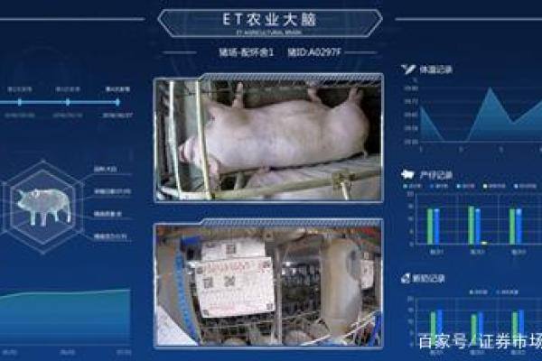 生猪抵押成现实 微光成炬暖三农