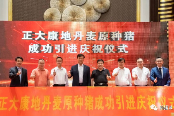 加快布局养殖业务，正大康地开启饲料+养殖双核驱动模式 | 探寻中国好种猪