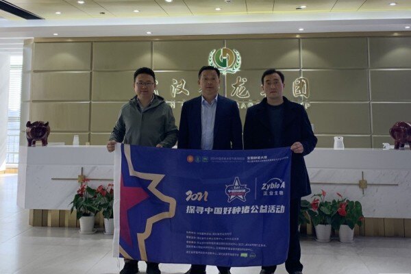 2021探寻中国好种猪第6站——走进武汉金龙集团