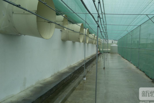 养殖业“环保风暴”再掀起！华南农业大学除臭技术让企业吃颗定心丸