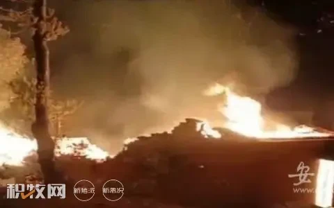 安徽一村民家杂层起火 圈养的猪和牛被活活烧死