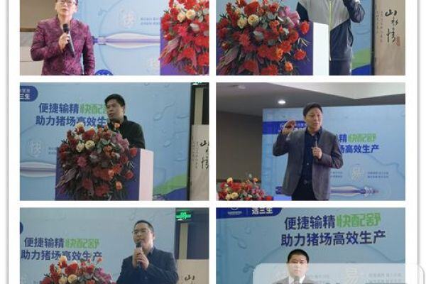 批次生产模式可显著降低猪场疫病感染风险