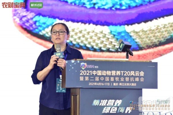 张桂红：雨季即将来临，南方猪场必须高度警惕，严防死守！