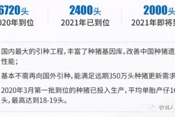 正邦：不再向牧原采购仔猪，今年拟招超万人仅限本科