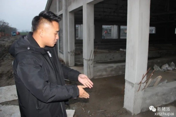 养猪万头一年回本1000万元，他做对了什么？