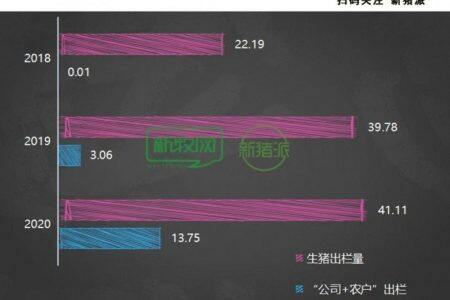 出欄41萬頭！神農集團擬募資21億元，新建10大項目150萬頭產能