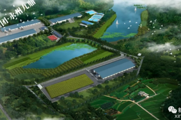 高起点打造原种猪育种体系，九鼎新湘农全力布局饲料+养猪+品牌肉全链条|探寻中国好种猪