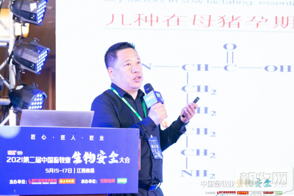 青岛润达杜新永：母猪护注意氨基酸补充，固体过氧化氢可实现带猪消毒