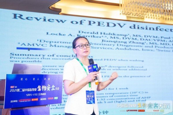 张桂红：有机物干扰大大降低非瘟消毒效果，泡沫清洗剂有助于消毒更彻底！