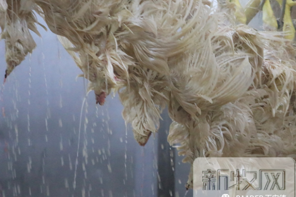 涡轮浸烫机1070 - 最佳的浸烫体验，避免质量与出成的损失