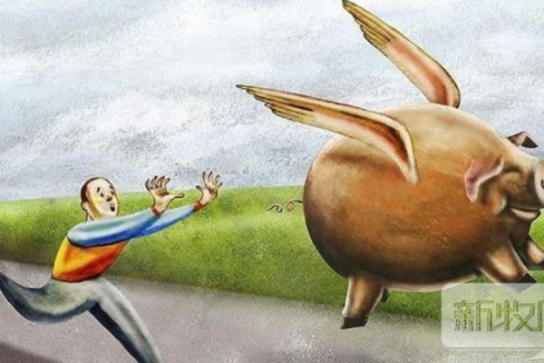 卖一头猪亏1000元！养猪的钱被谁赚跑了？国家强力出手整改