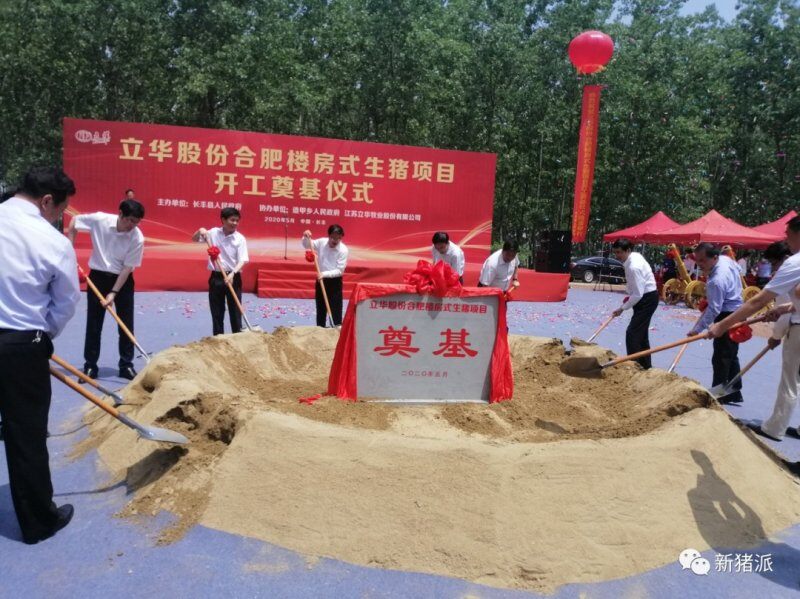 每头猪赚3134元尝到甜头，养鸡巨头密集抢滩养猪市场