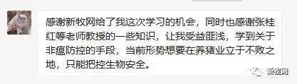 非瘟毒株变异!这些集团猪场的兽医、场长在3月15日做了同一个动作