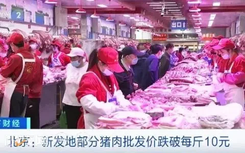 猪价连降18周！北京新发地部分猪肉批发价已跌破10元/斤