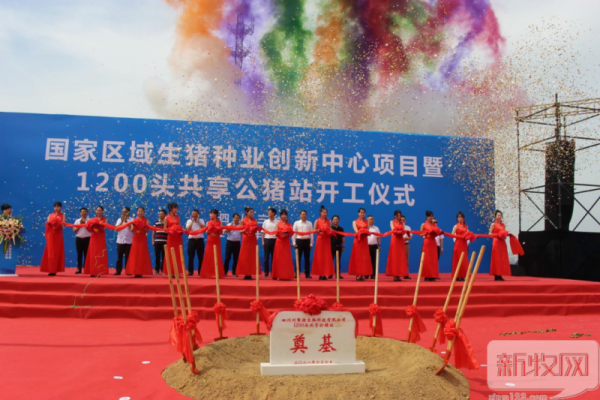 1200头共享公猪站开工！生猪种业创新中心直面“卡脖子”问题