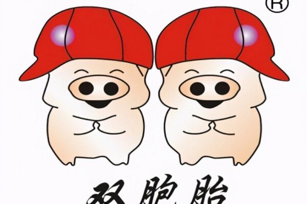月销超10万吨！双胞胎高温母猪料在全国掀起了抢购风暴